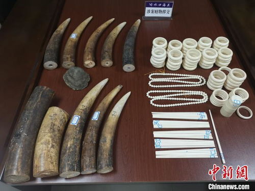 水口海關向林業局移交走私動物制品，加強生物資源保護執法合作